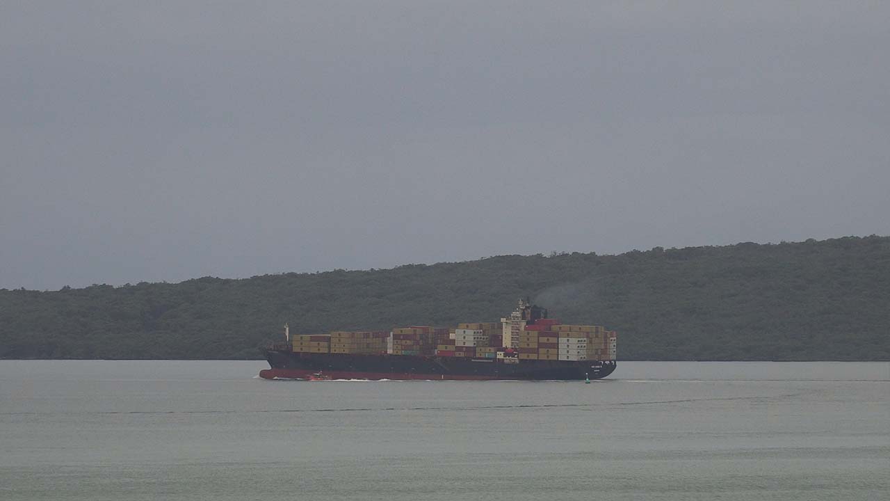 MSC Zonda III